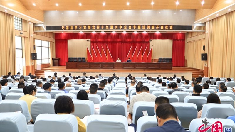 乡镇叉车培训加盟好吗